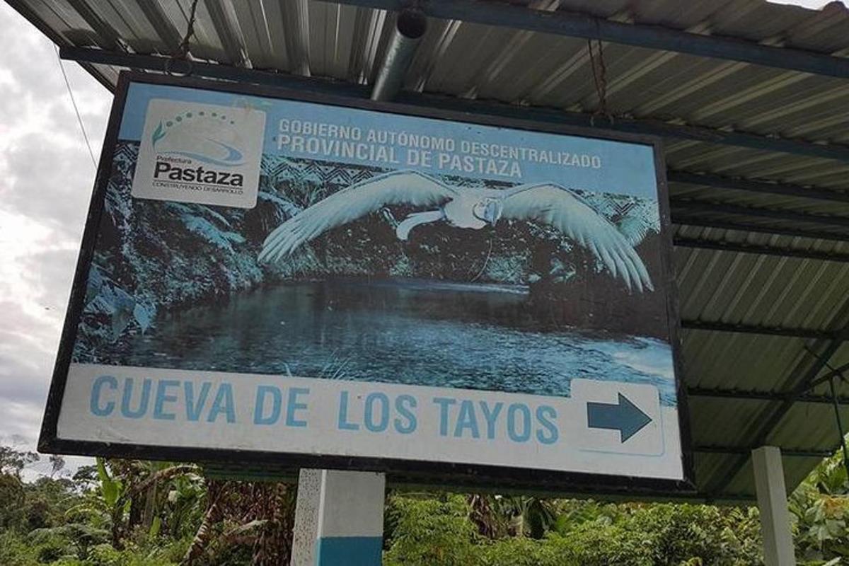 Imagen número 6 de la atracción
