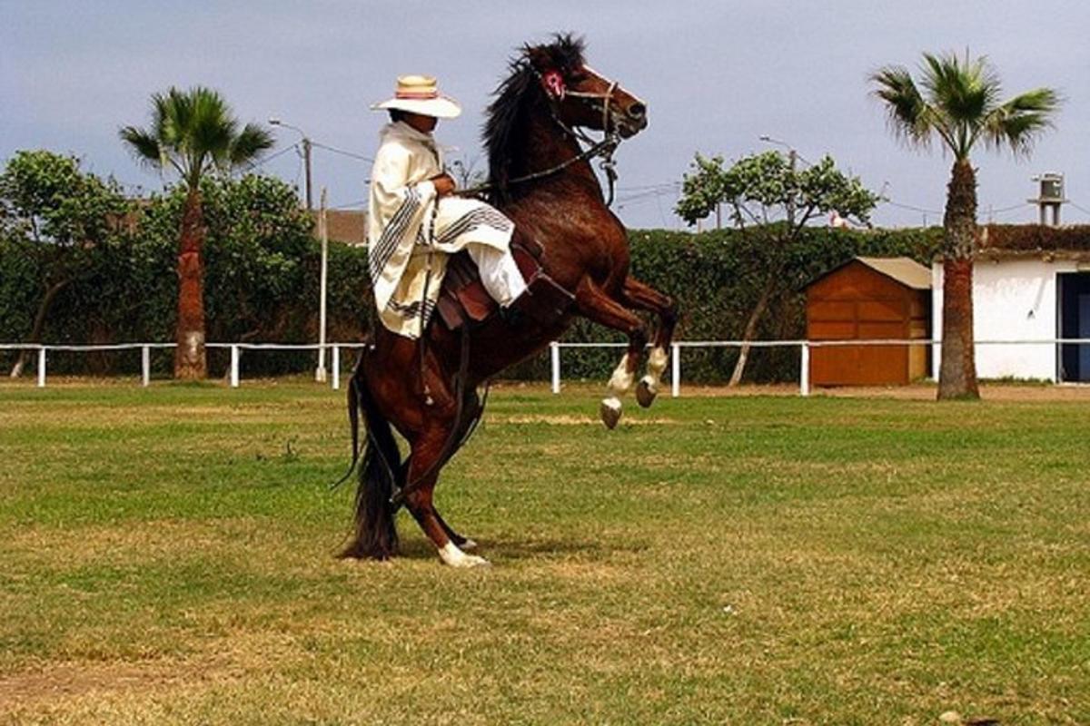 Foto 4 de la atracción turística