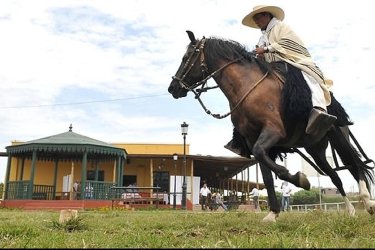 Foto 5 de la atracción turística