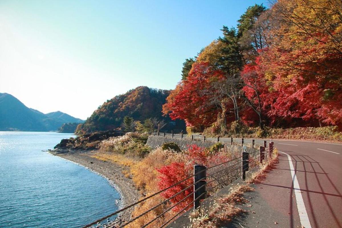 물가 옆에 울타리가 있는 도로