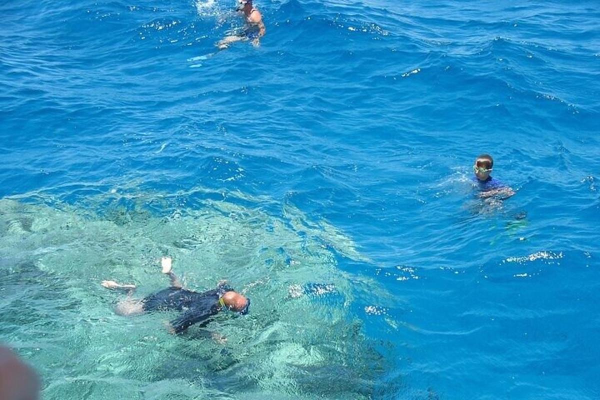 μια ομάδα ανθρώπων που κολυμπούν στο νερό