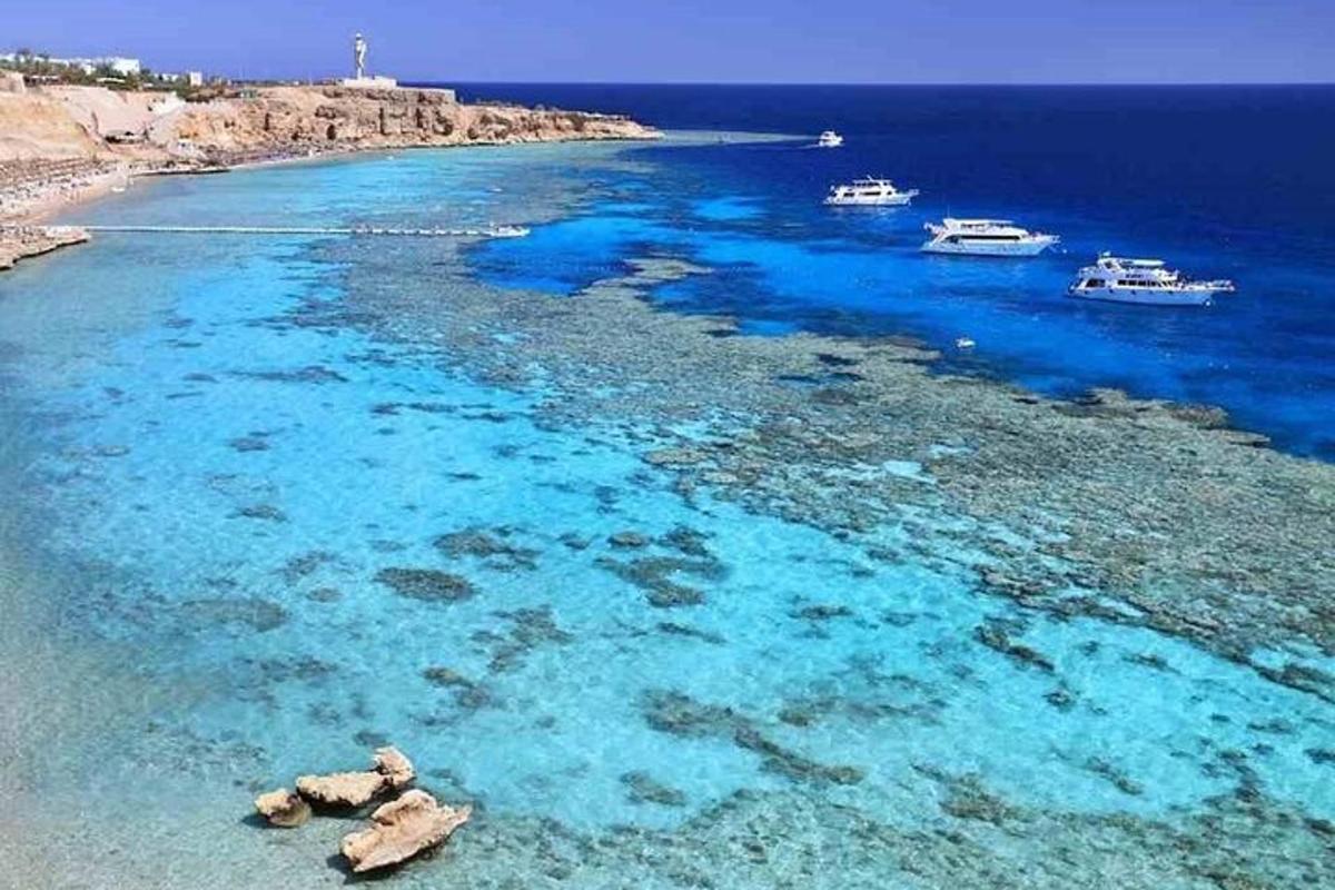 un gruppo di barche in uno specchio d'acqua