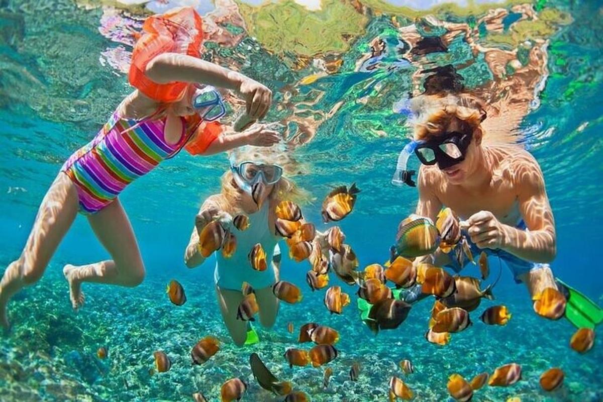 un gruppo di persone che nuotano nell'acqua con i pesci