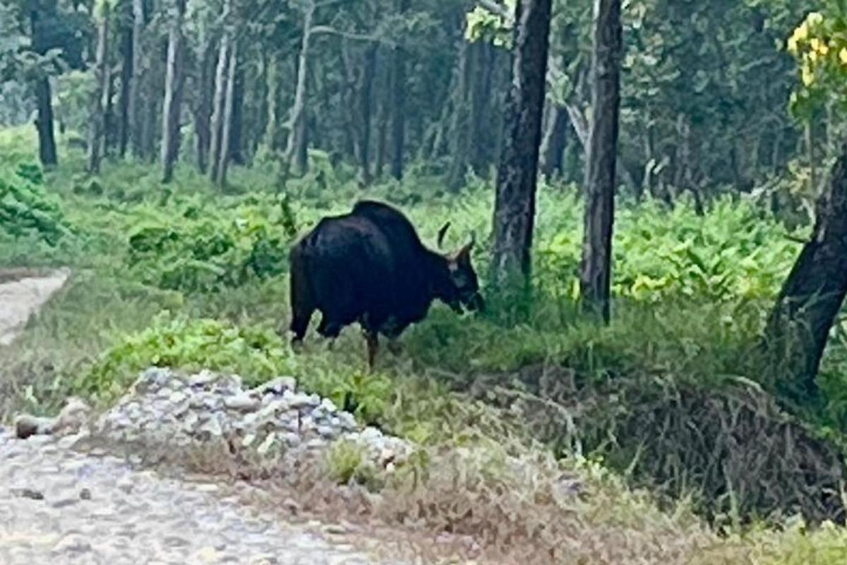 Billede 3 af seværdigheden