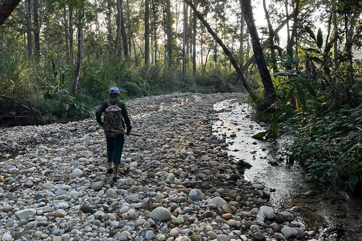 Foto 6 da atração