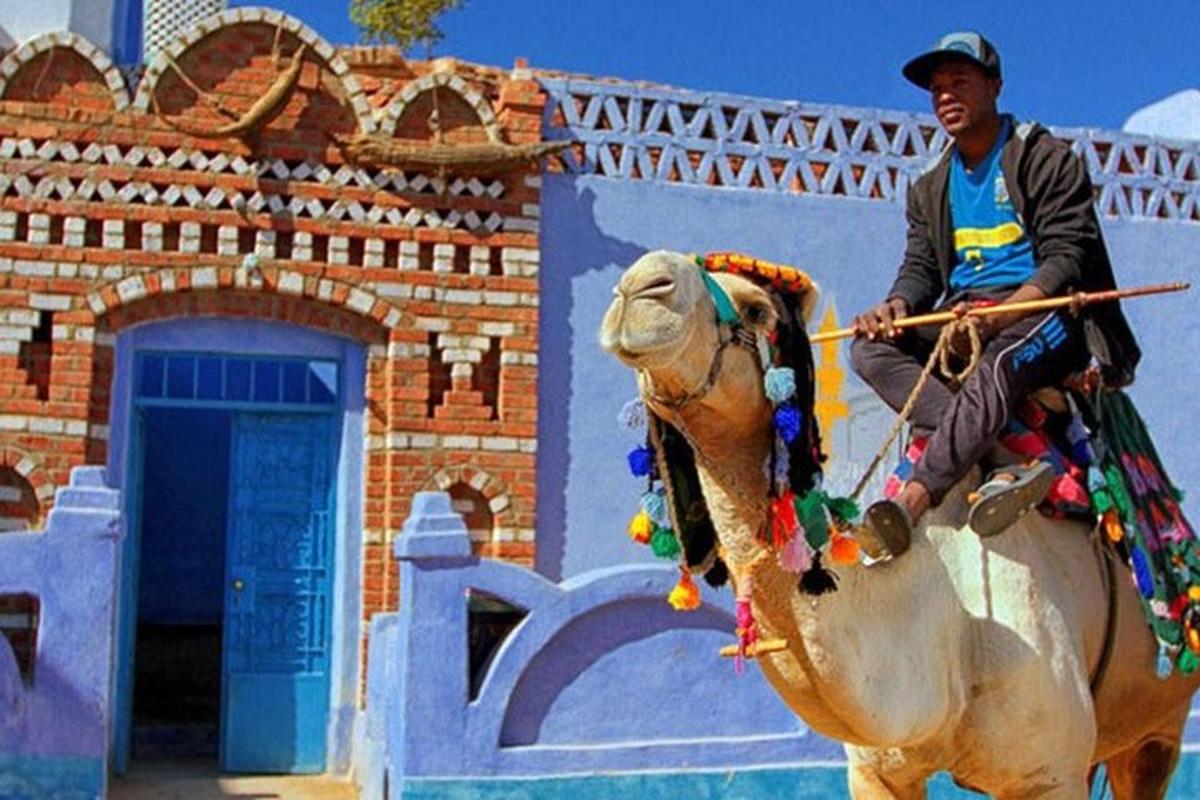 en mand, der rider på en elefant foran en bygning