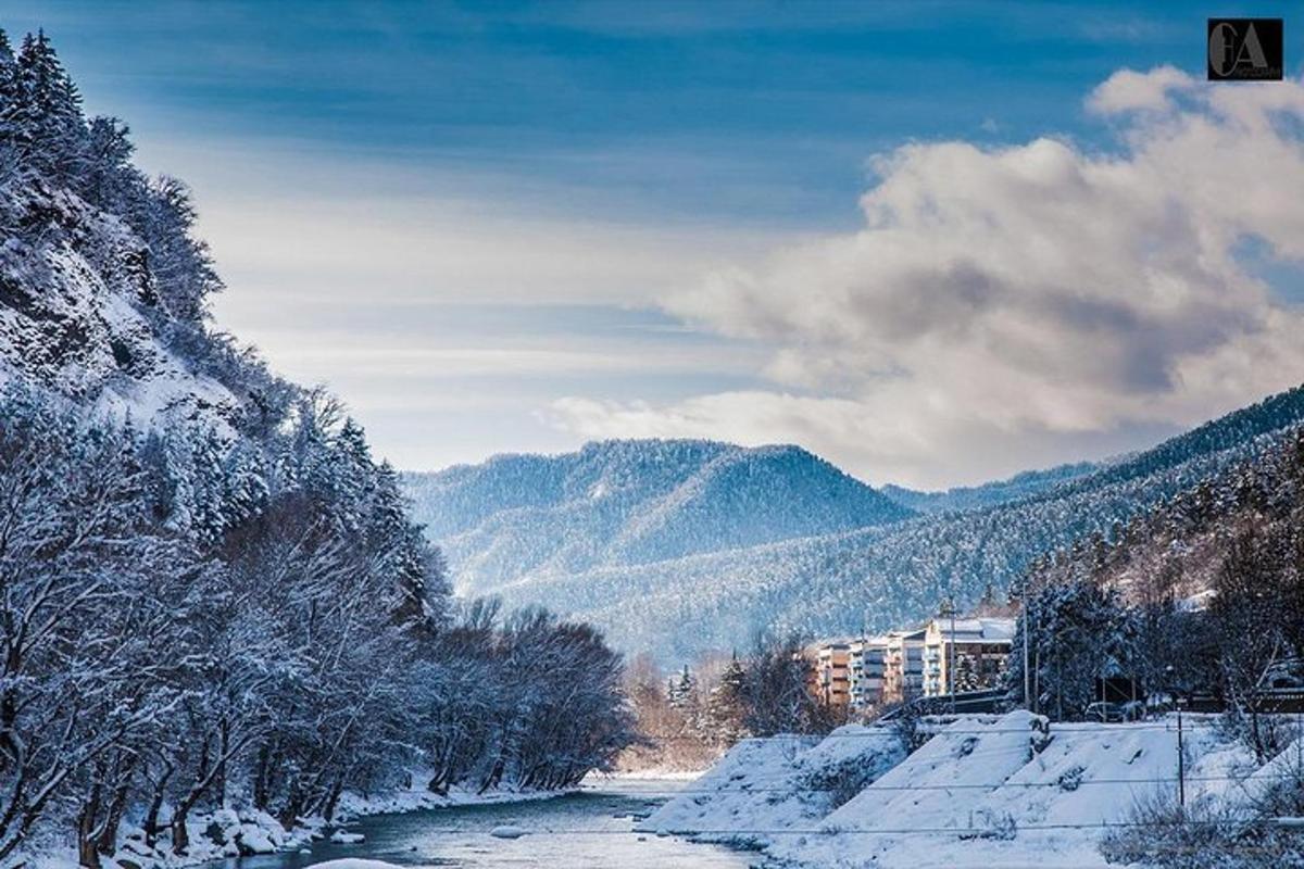 un fiume con alberi innevati e montagne sullo sfondo