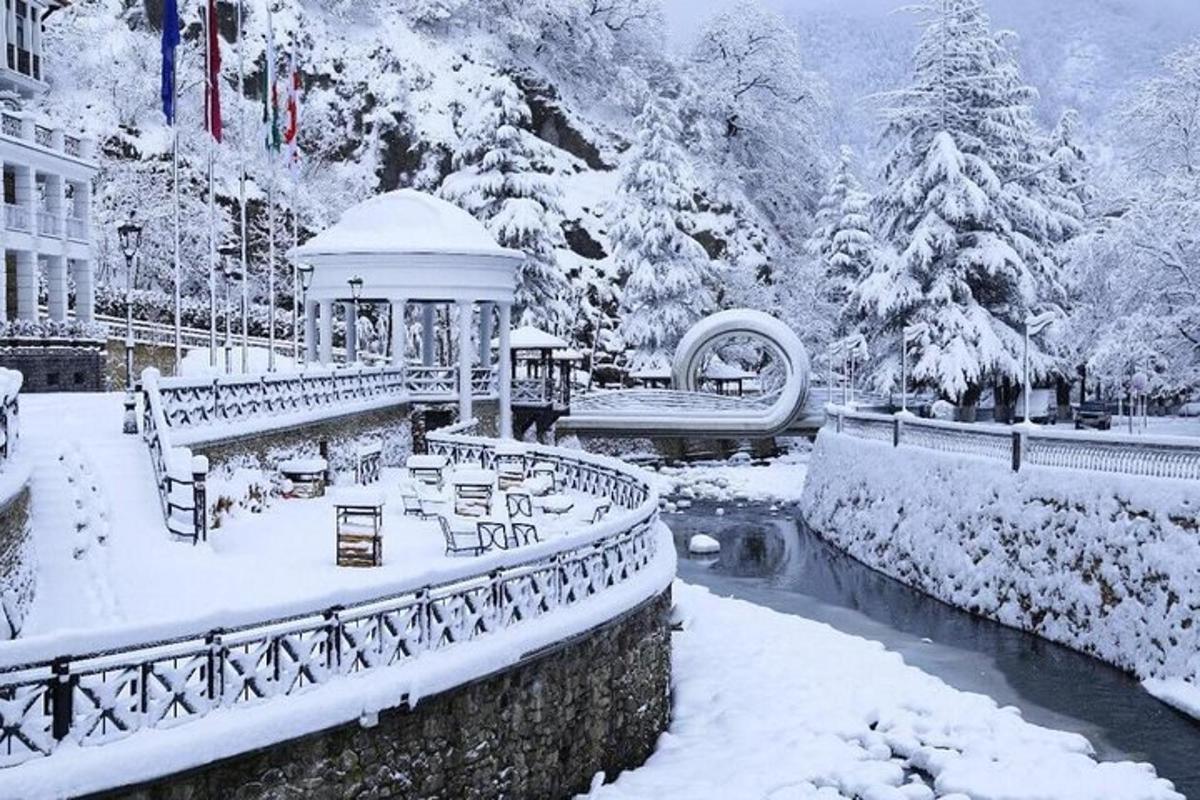 un gazebo in un parco coperto di neve