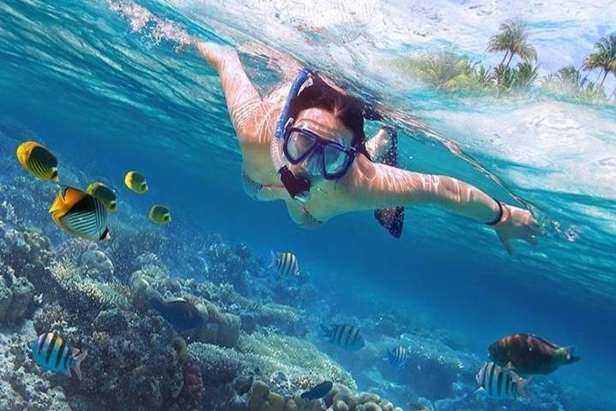 Žena plave v oceánu s rybami