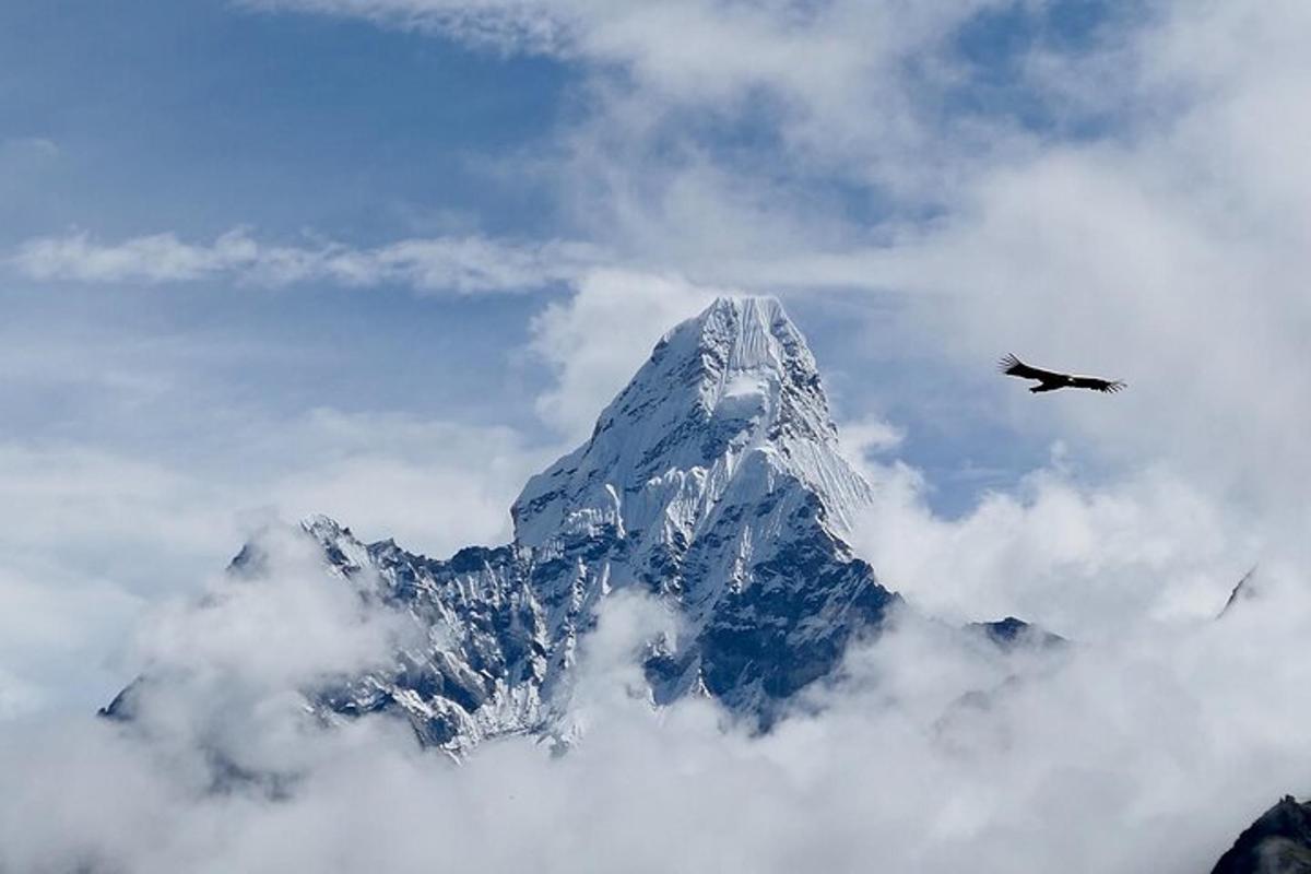 et fly som flyr foran et snødekt fjell