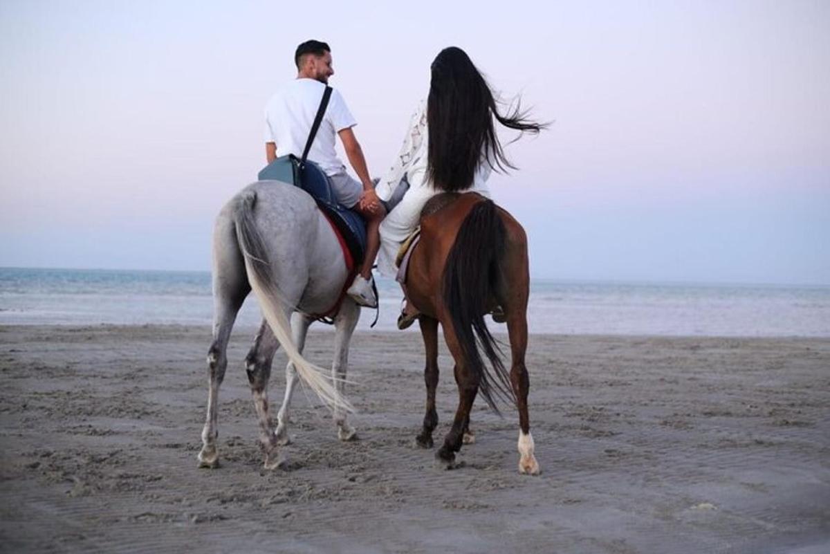 seorang lelaki menunggang kuda di pantai