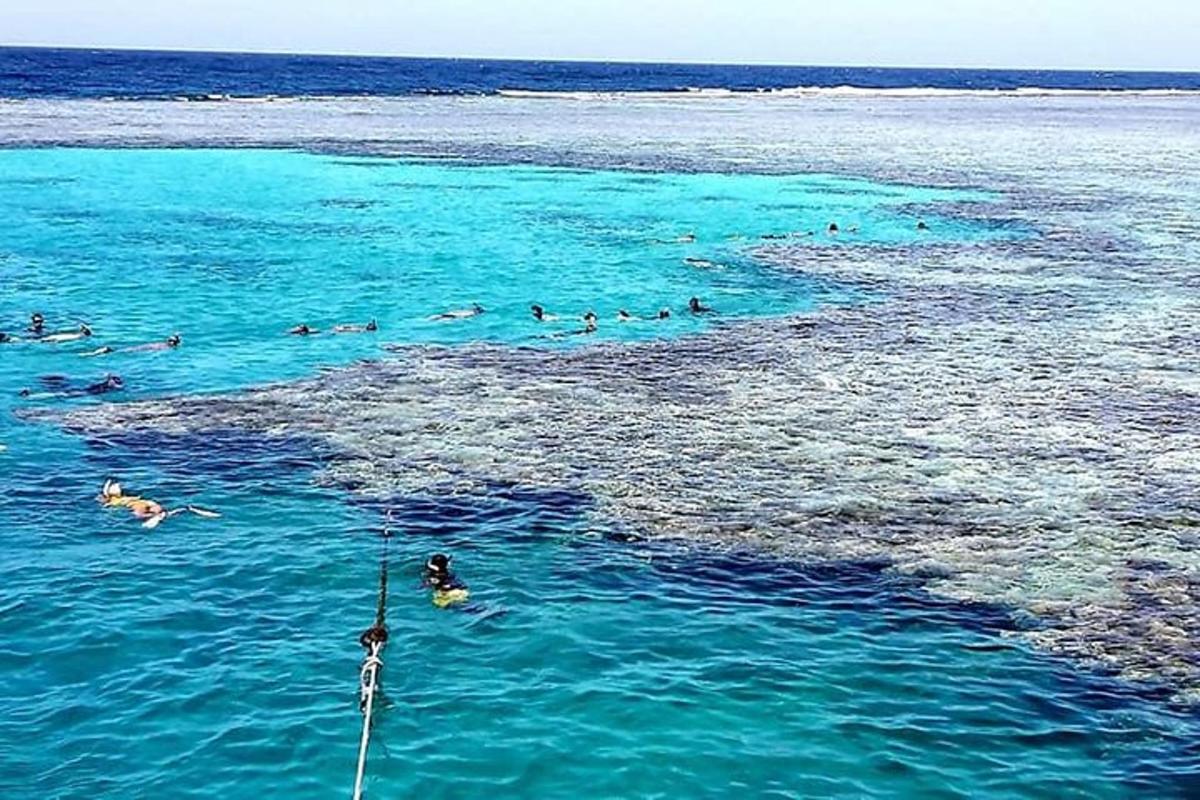 un gruppo di persone che nuotano nell'acqua blu