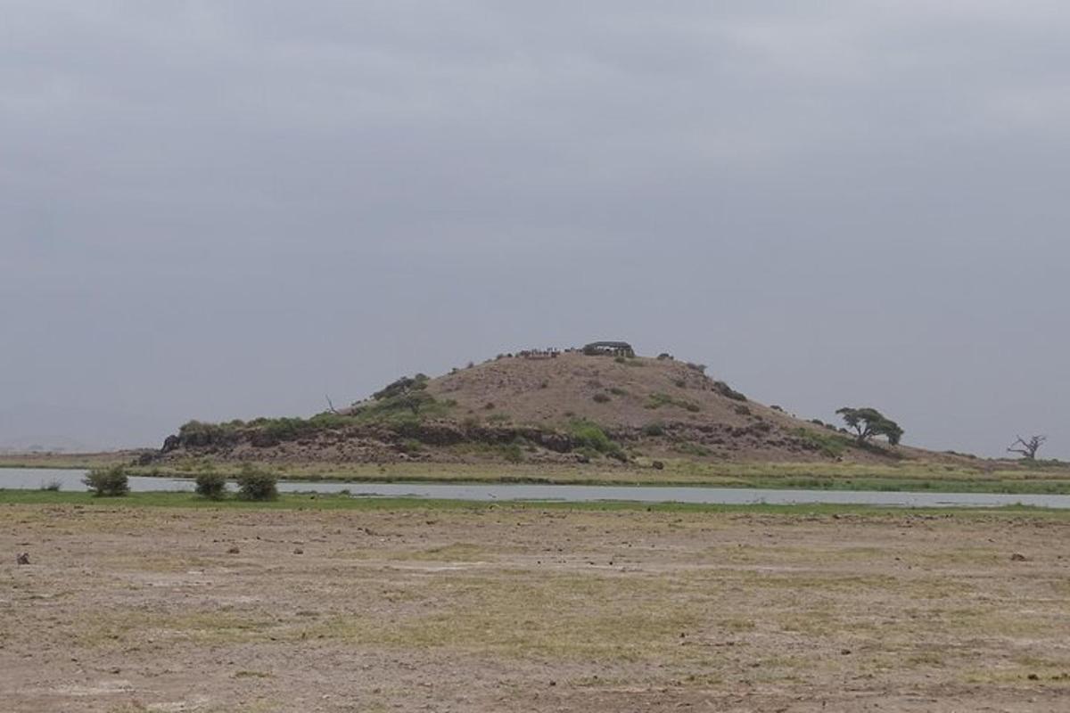una piccola collina in mezzo a un campo