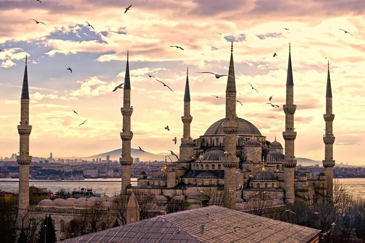 ein Gebäude mit zwei Moscheen, um das Vögel herumfliegen