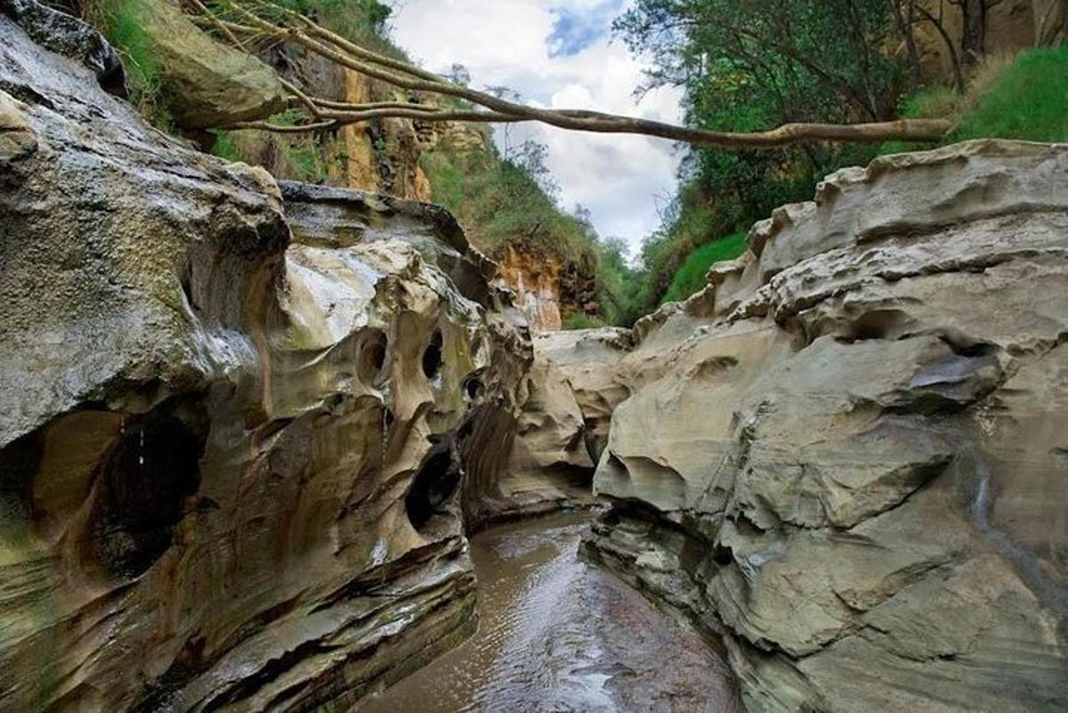 un dipinto di un fiume in un canyon roccioso
