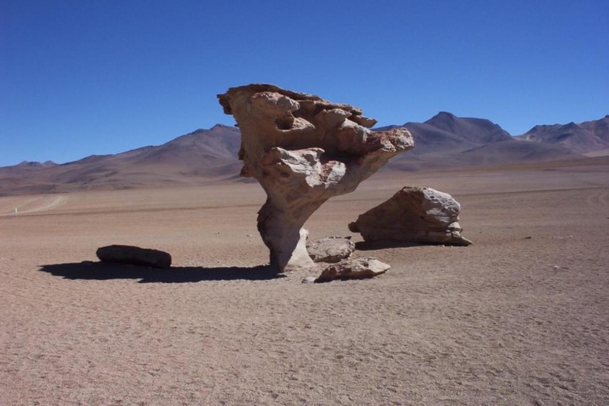 Fotografia da atração 7