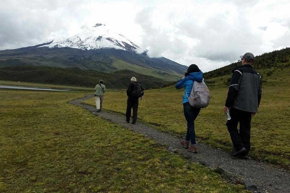 Ljósmynd af afþreyingu 2