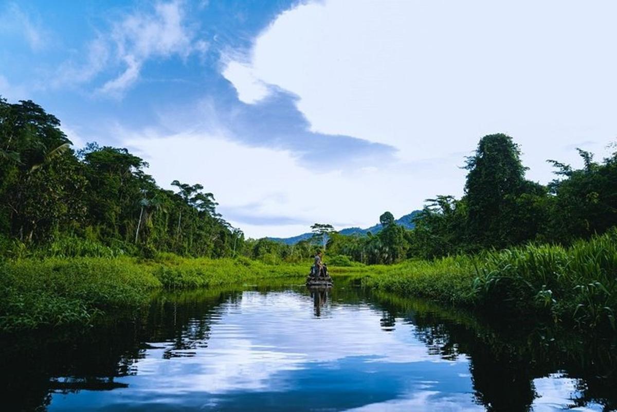 una barca su un fiume con alberi e nuvole nel cielo