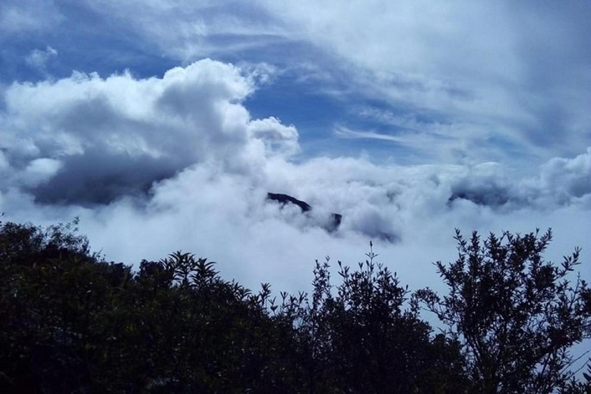 un mucchio di nuvole nel cielo con alberi