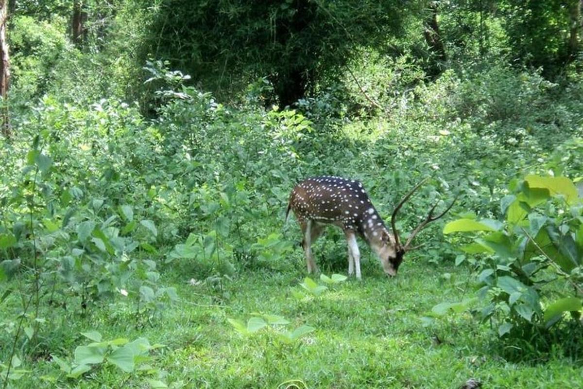 2 foto atraksi wisata