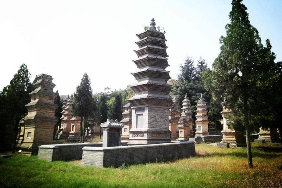 sekumpulan pagoda di padang dengan pokok