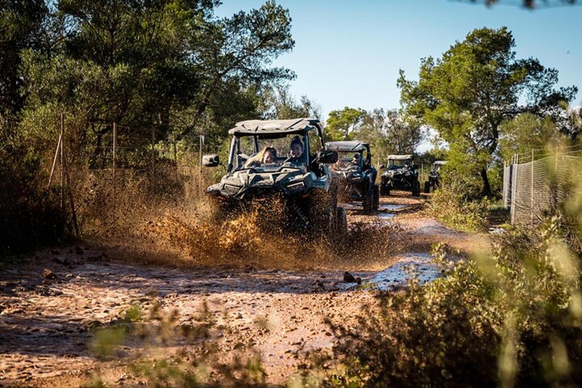 Un vehículo de safari conduciendo por un campo de tierra.