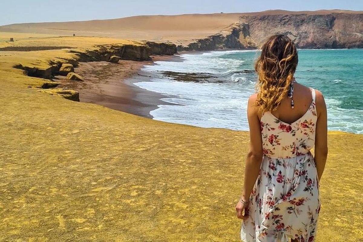 seorang wanita berdiri di pantai sambil melihat ke arah laut
