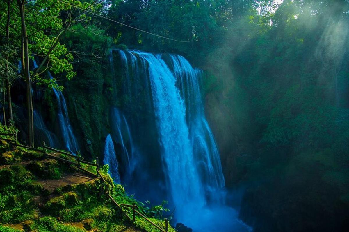 a waterfall in the middle of a forest
