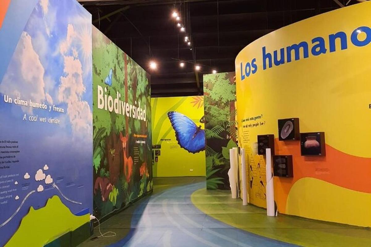 una mostra in un museo con una farfalla sopra