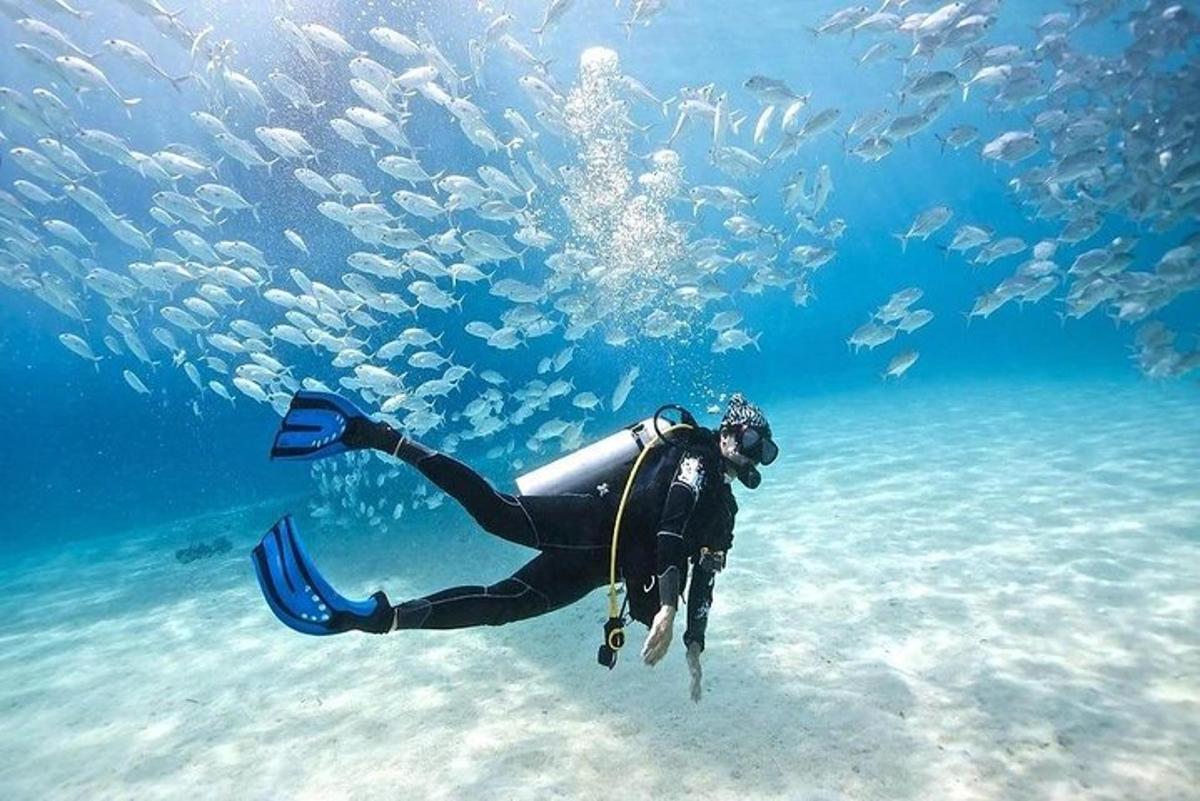 una persona en el agua con un grupo de peces