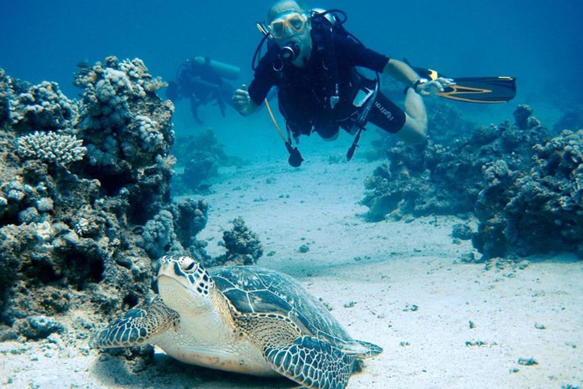 muž s fotoaparátem a želva v oceánu