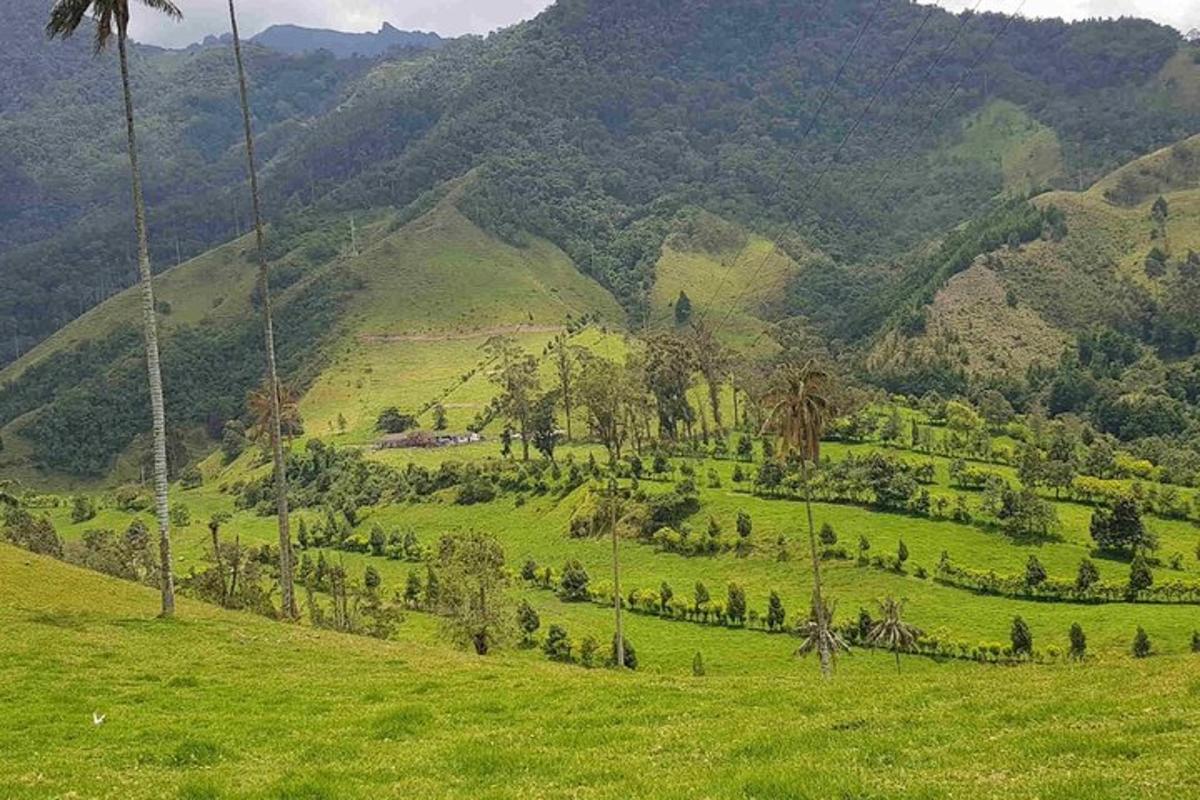 Fotografia da atração 4