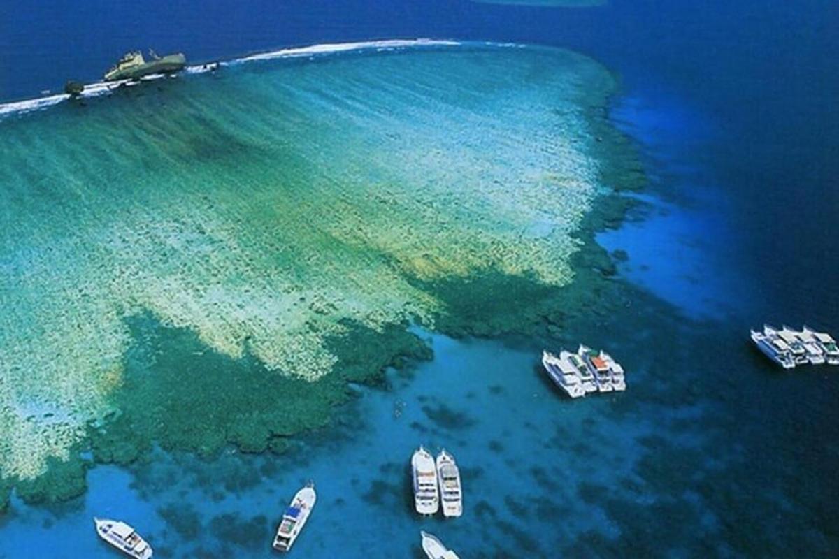 Una vista aérea de un grupo de barcos en el agua.