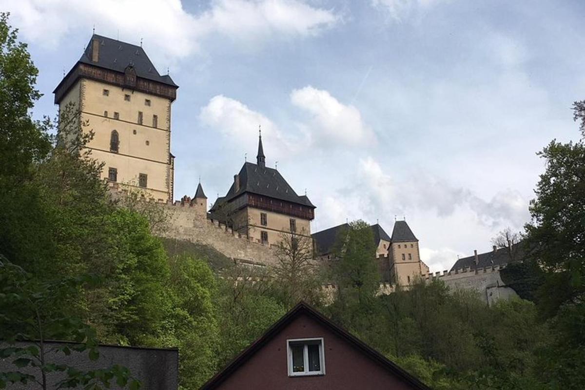 hrad na vrcholu kopce se stromy