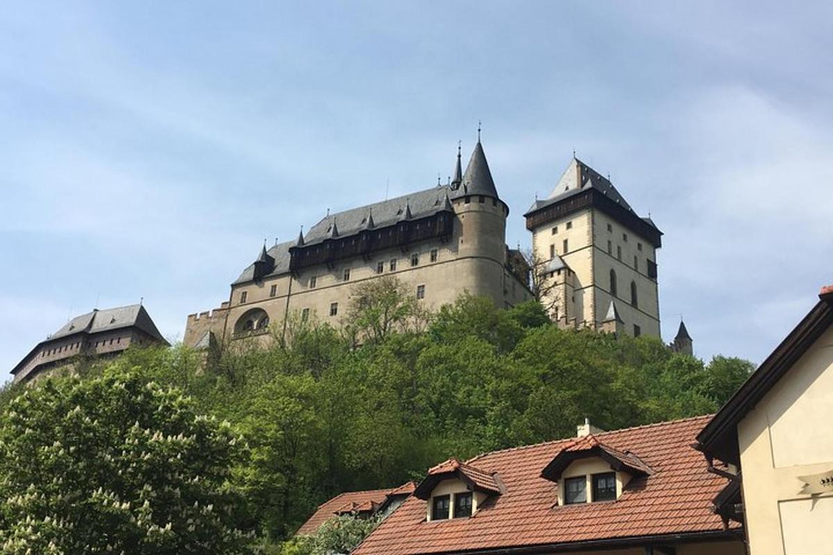 un castel pe vârful unui deal cu copaci