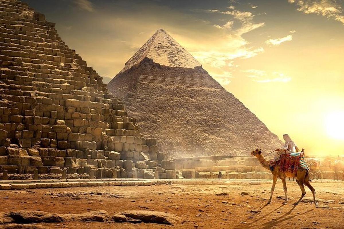 velbloud stojící před pyramidami