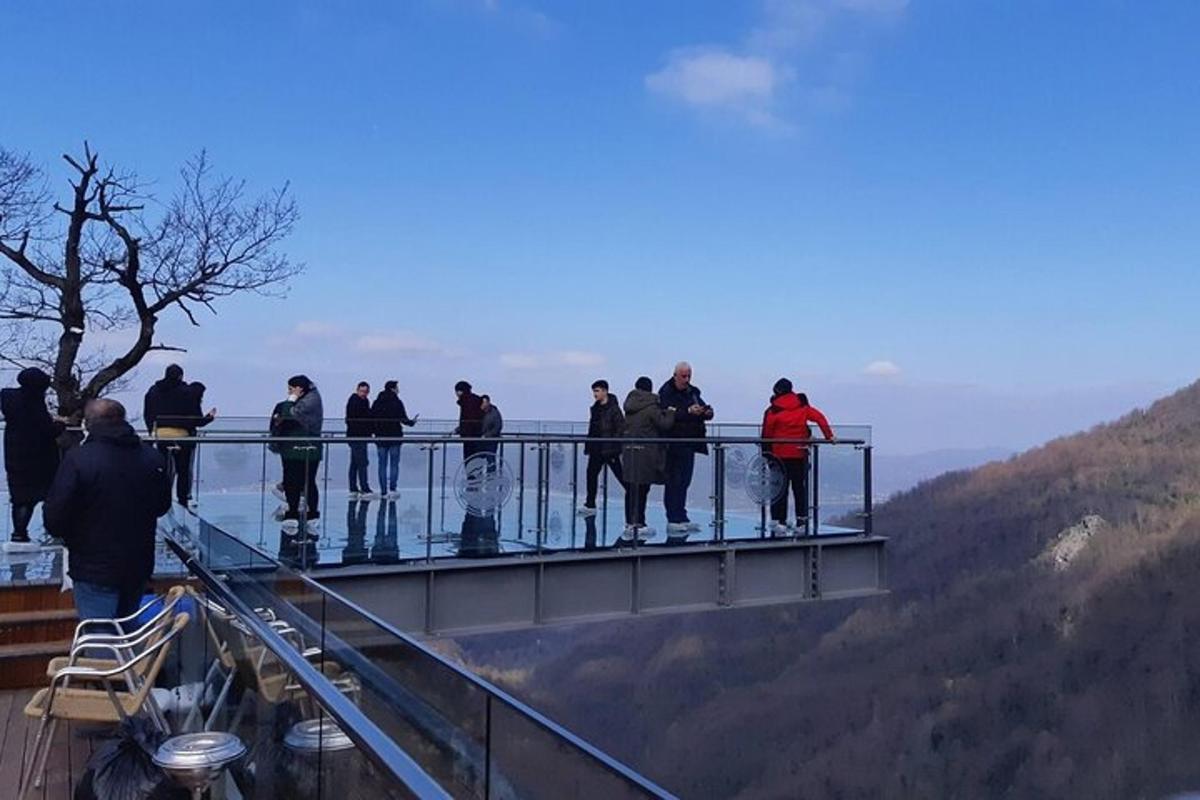 een groep mensen die op een uitkijkplatform op een berg staan
