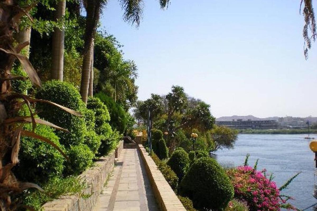 a path next to a river with trees and bushes