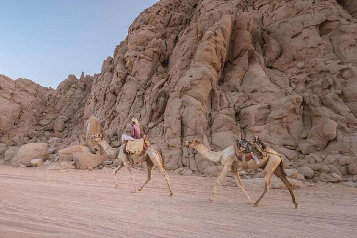 Un hombre montado a lomos de camellos en el desierto