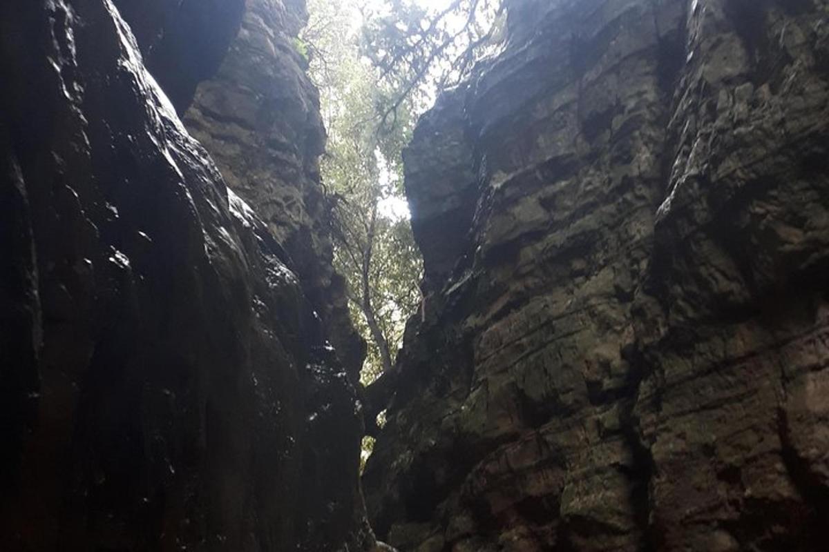 ein Blick auf eine Schlucht mit Bäumen darin