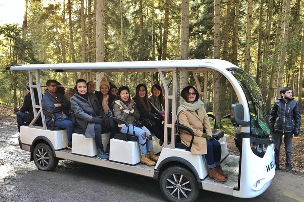 grupp inimesi, kes sõidavad golfikärus