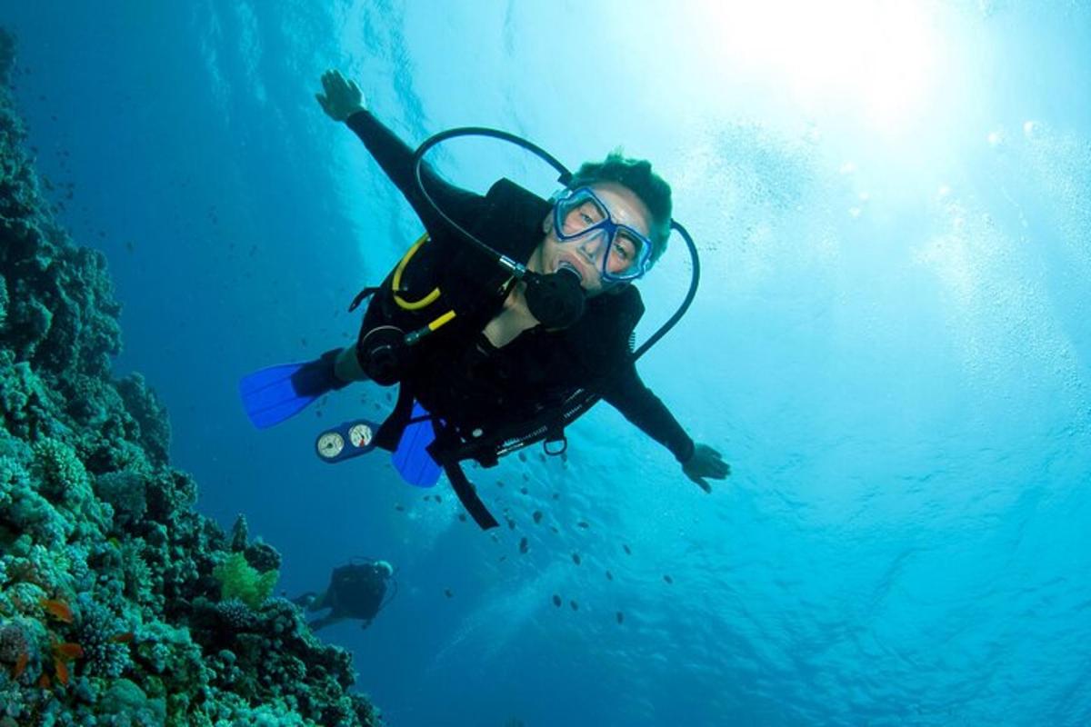 a person in a wetsuit diving in the ocean