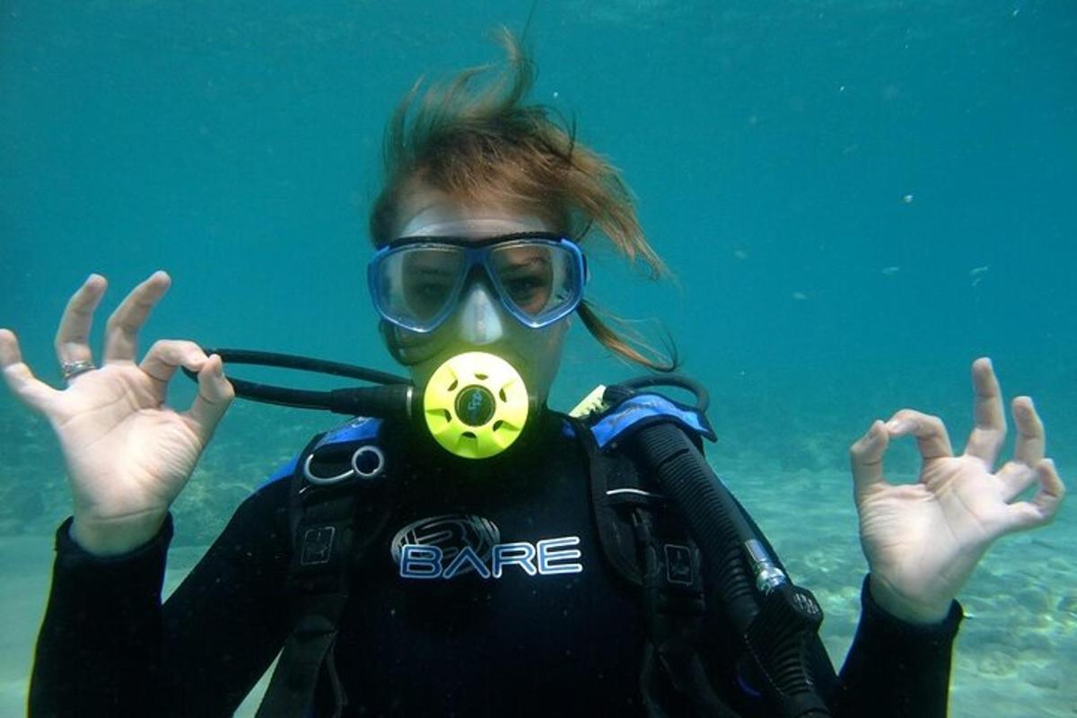 a person wearing a gas mask in the water