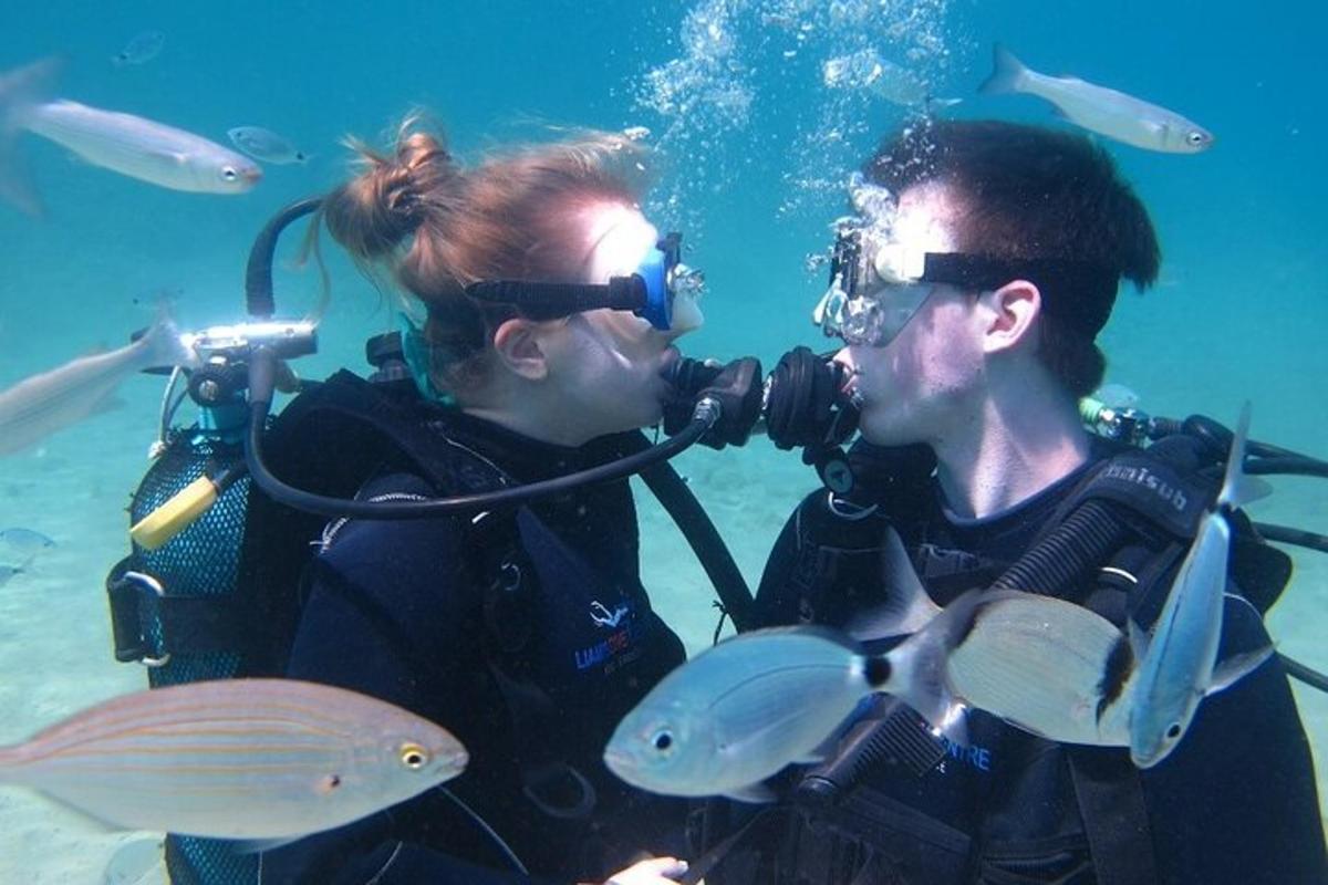 two people taking pictures of fish in the water