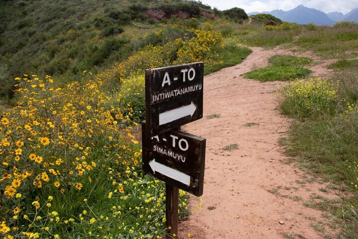 un cartel en un camino de tierra en un campo de flores