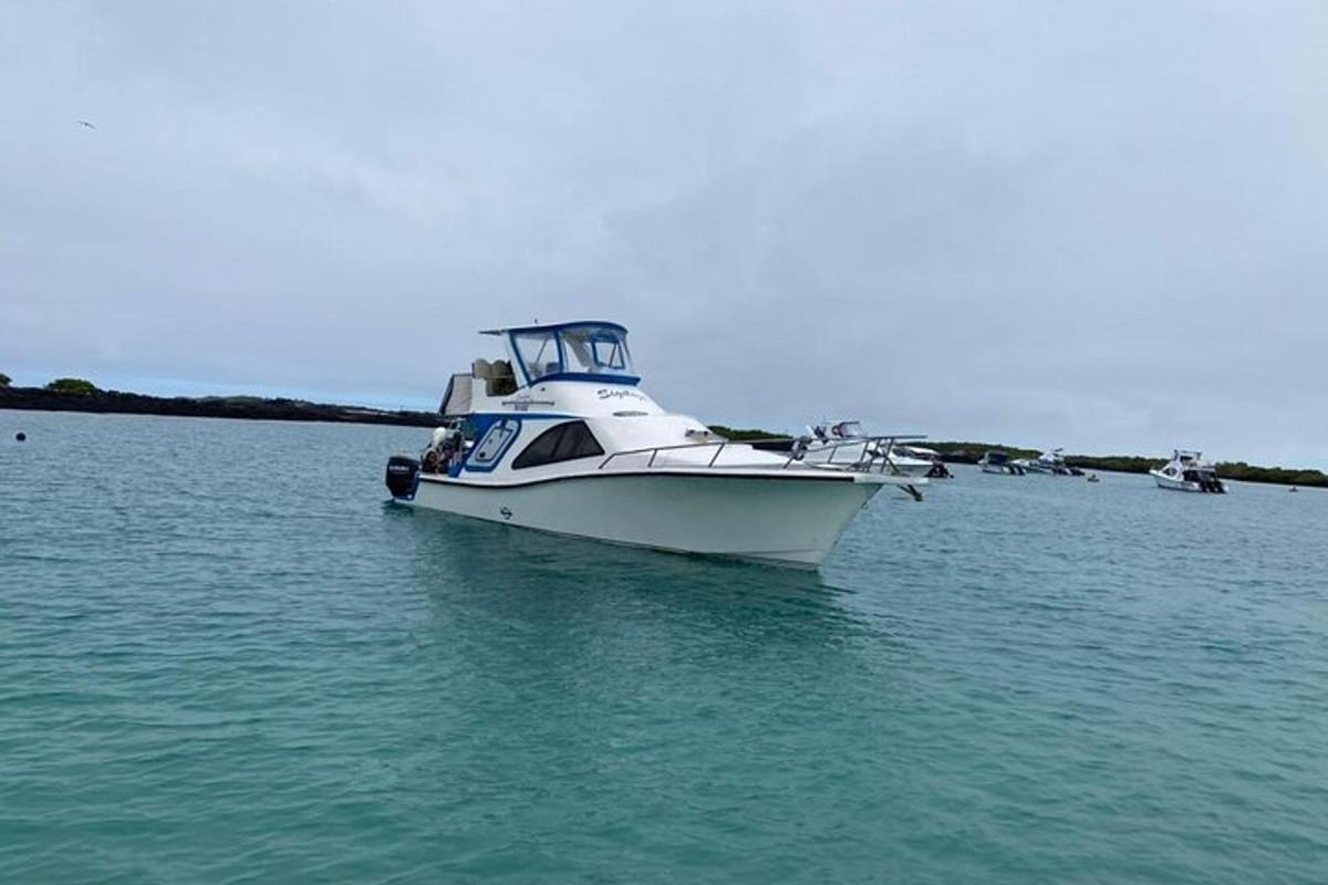 a white boat in the water on a body of water