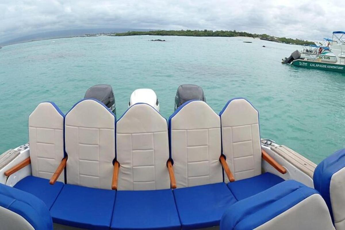 a group of seats on a boat in the water