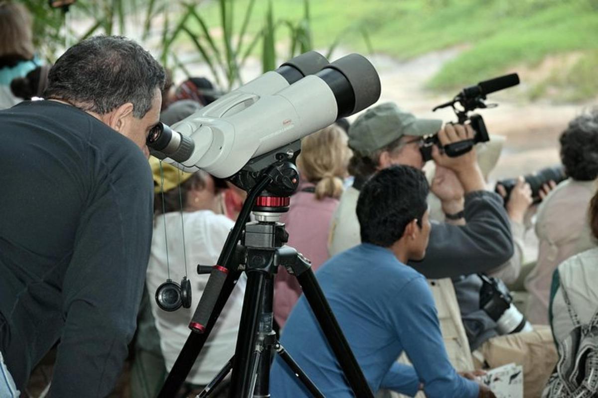 Fotografia da atração 5