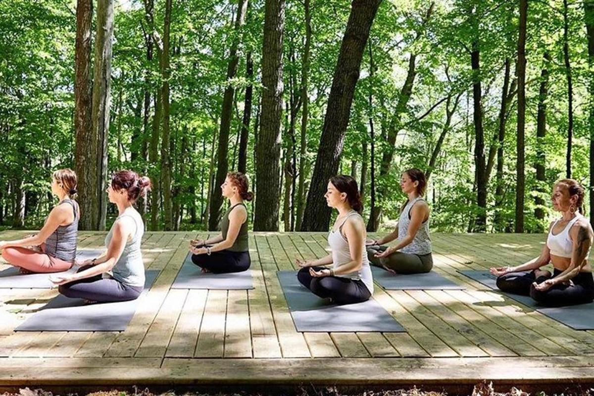 un gruppo di donne sedute in una posizione yoga