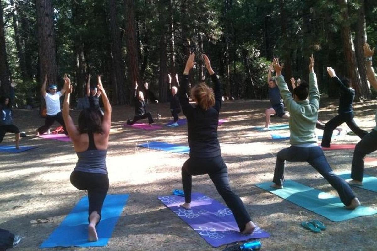 a group of people doing yoga in a park
